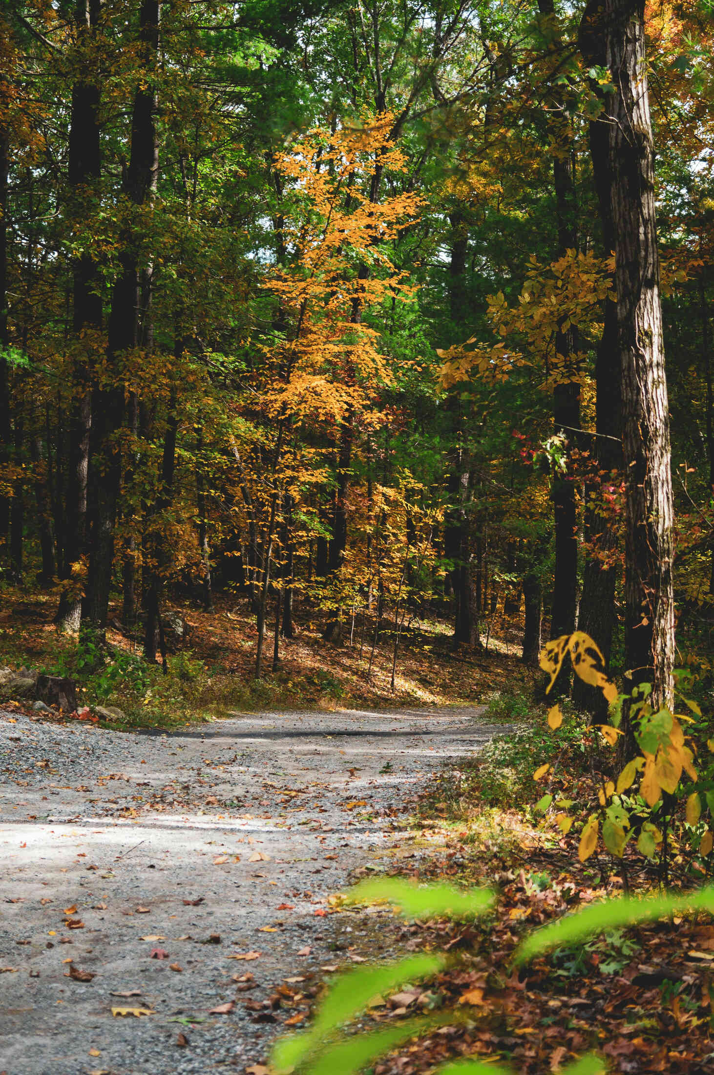 Lorem ipsum dolor sit amet, consectetur adipiscing elit.